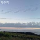 제주락 이미지