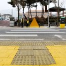 옐로카펫 이미지