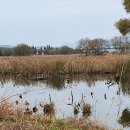 동네행정사사무소 이미지