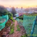 금남면사무소 이미지