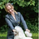 국제애견 이미지