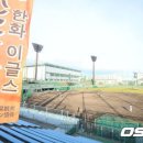 고치 이미지