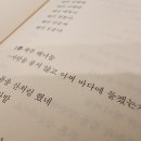 쉬멍 놀멍 자멍 이미지