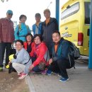 창대사료 이미지