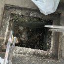 [DB 마이저널_5월] 드림리더가 망원동을 플로깅으로 접수했다는 소식😎♻️ 1차 연합미션 후기🏃🏻‍♀️