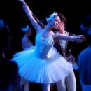 (공연) 국립심포니오케스트라 <신년음악회> 이미지