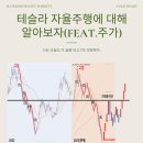 테슬라의 FSD(Full self driving)이란 무엇일까?