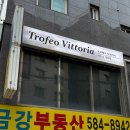 트로페오비토리아 이미지