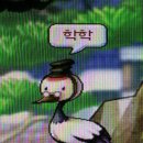 비룡 - 포항시 남구 대잠동길 41 | 비룡