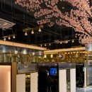 맥PC카페 이미지