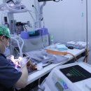 유성준동물병원 이미지