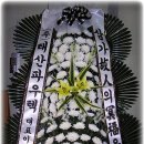 부림한방병원 이미지