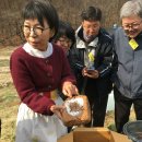 0323 장담그기/ 작물계획/ 농기구사용법/ 당근 씨뿌리기 이미지