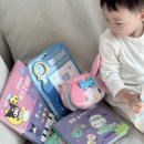 파랑 그림책 놀이(유아) | 블루래빗 산리오캐릭터즈 촉감 까꿍 플랩 놀이책 두돌 책육아 후기