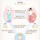토끼전 이미지