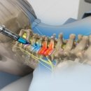 동서연합의원 이미지