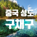 코지의사진과여행