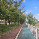 유수지근린공원 이미지