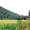 삼창주유소 이미지
