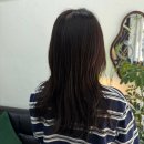 희망미용실 - 제천시 | 숙대미용실 로움 헤어 후암동 미용실 염색 후기