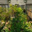 영월곤충박물관 이미지