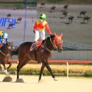 캡틴축산 이미지