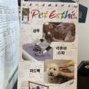 늘빛나 이미지