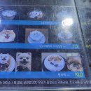 북앤빅뱅 송도점 네이버블로그