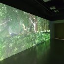 (주)한솔홈데코익산공장 | <익산/하림> 하림미식투어 하림치킨로드 하림키친로드 공장견학 후기 가격 치킨버거 후기