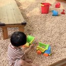 (주)파란미디어 | 판교환경생태학습원 주차부터 온실까지! 14개월 아기와 실내 나들이 후기
