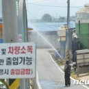 인제양계 이미지