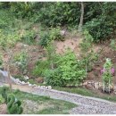 불국사한옥코코스테이 이미지