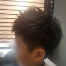 로이드밤구서점