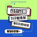 포레스트짐 이미지