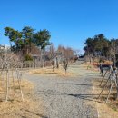 부산당곡공원 이미지