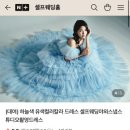 스마트 포토에세이 | : 결혼준비 : 가성비 드레스 대여_셀프웨딩홈 내돈내산 빅사이즈 예신 피팅후기