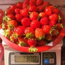 아동2통 이미지