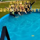 추억쌓기민박 이미지
