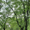 농업회사법인(주)지오엔바이오 | 공주동학사맛집 한우불고기정식 맛보고 왔어요