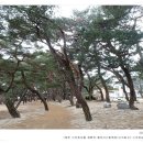 용두산산림욕장 네이버블로그