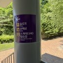 하이원리조트 구름담은카페 내돈내산 솔직후기(국내에서 가장 높은 카페)