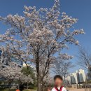 미라클태권도장 | 화성태권도 동탄태권도 미라클태권도장 아이들의 올바른 성장을 위한 선택
