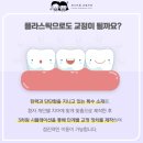 갤러리 소아