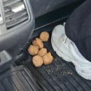 엄나무보쌈 | [강릉 2601] 1탄, 강릉길감자 대체재 감자뭉팅이와 숙소 강력 야식 추천, 먹다가 끝나는 여행, 강릉...