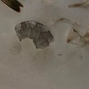 J&D 실내바다낚시터 이미지