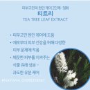 상분이스킨 이미지