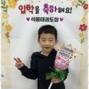 청출어람태권도장 이미지