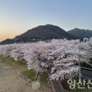 황산공원 이미지