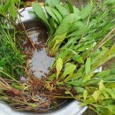 시나브로 이미지