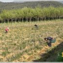 예스 팜 이미지